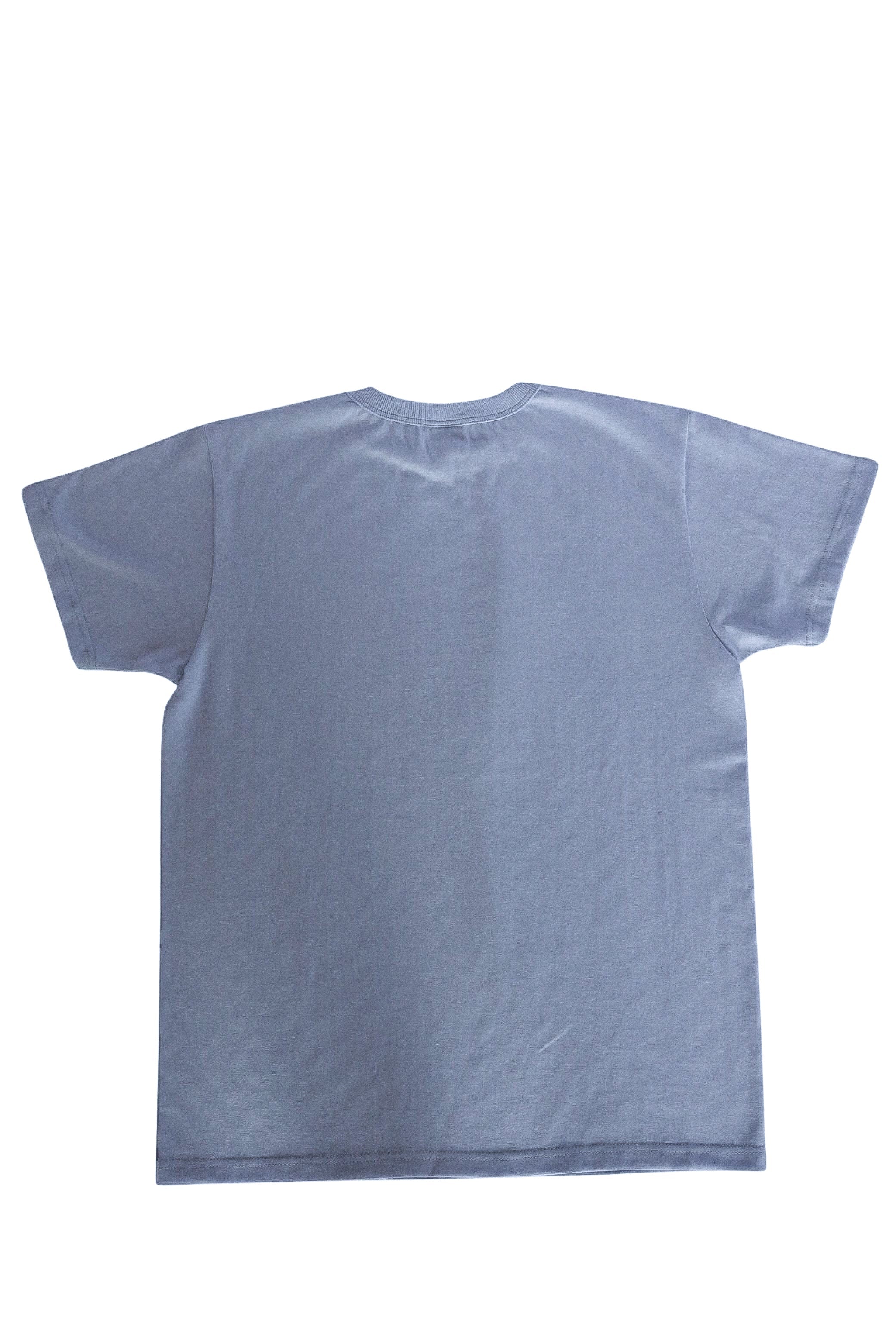 ANM Loopwheel Tee- Porch Ceiling Blue