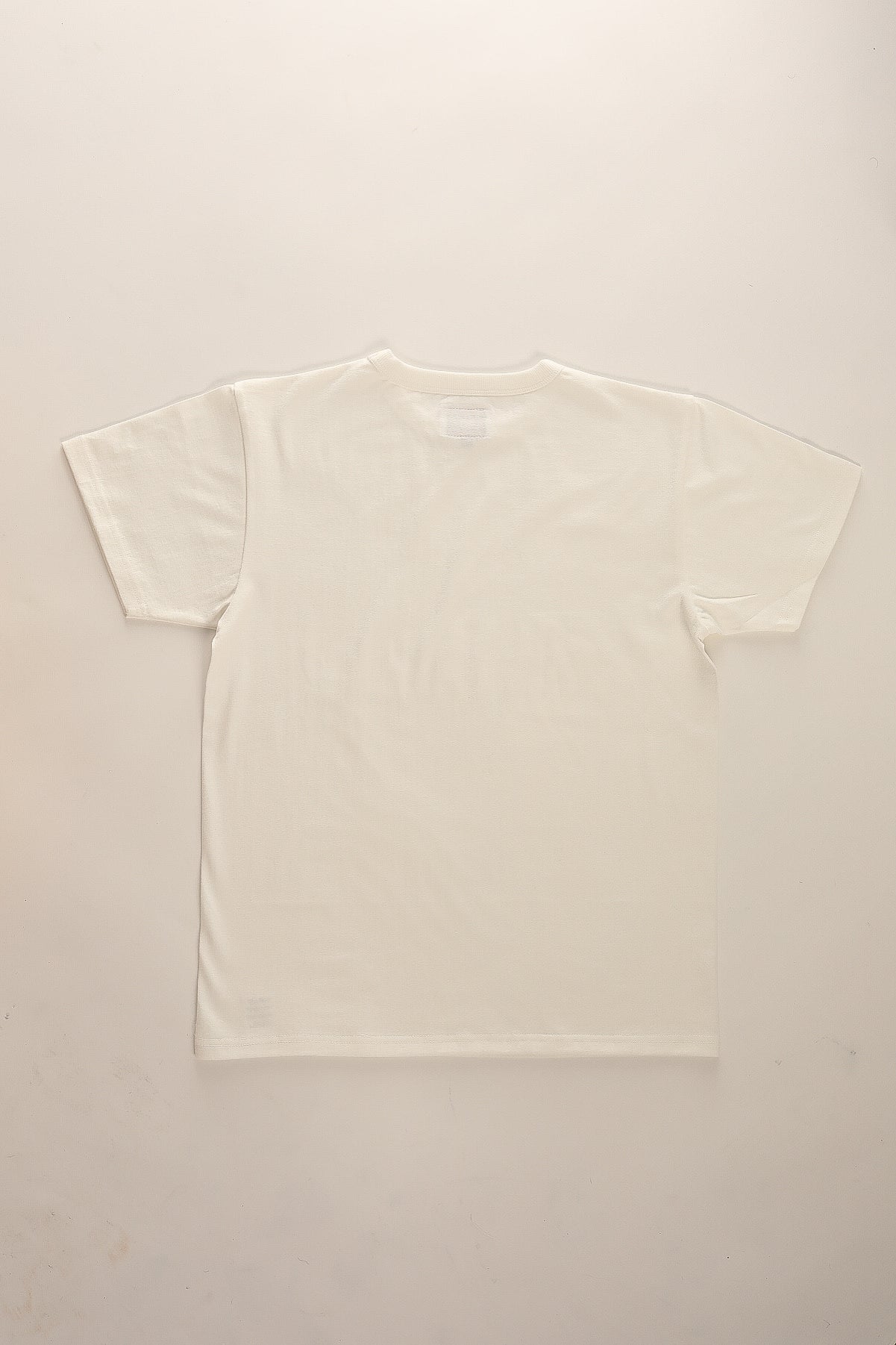 ANM Loopwheel Tee- White