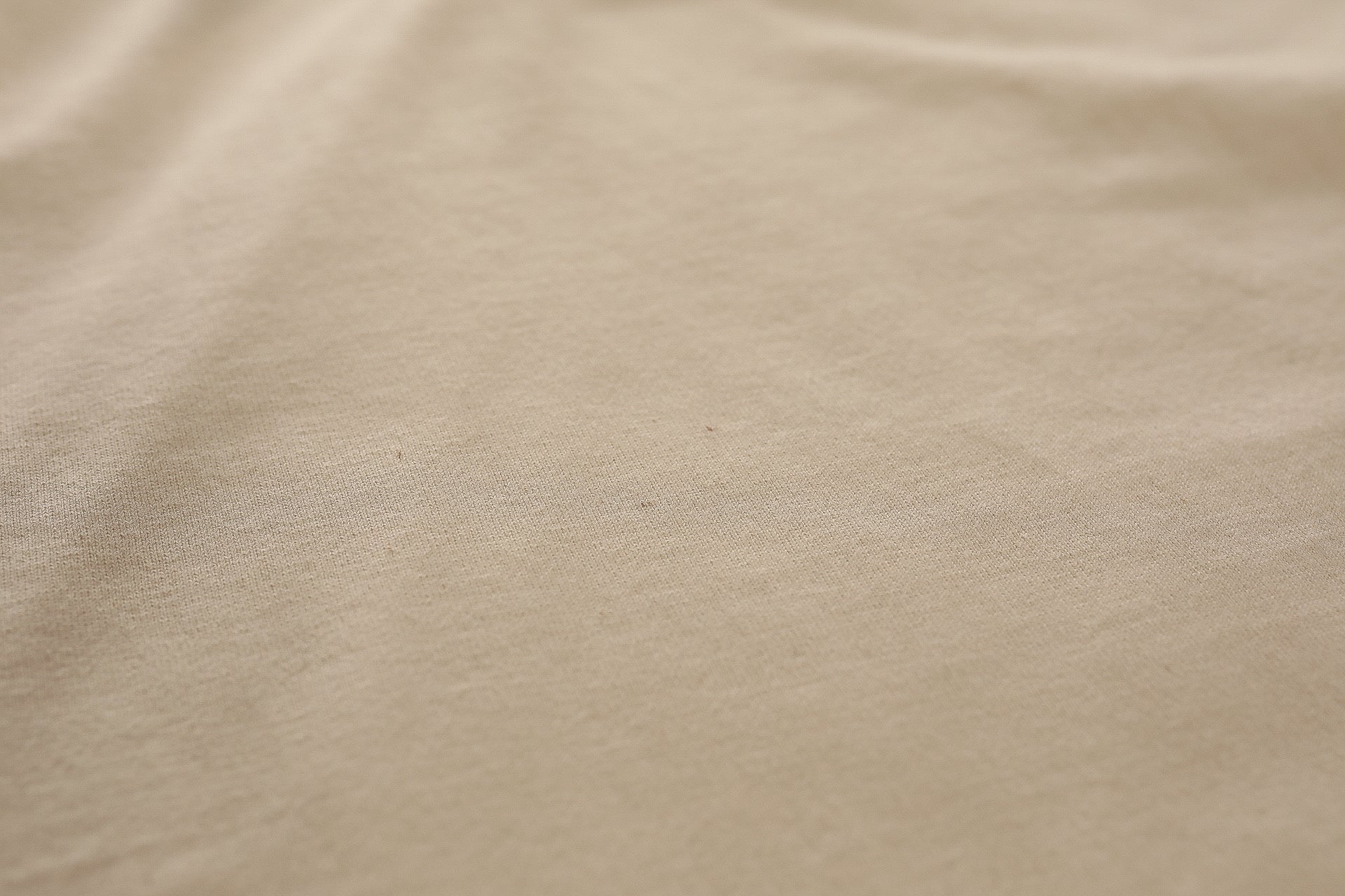 ANM Loopwheel Tee- Cream